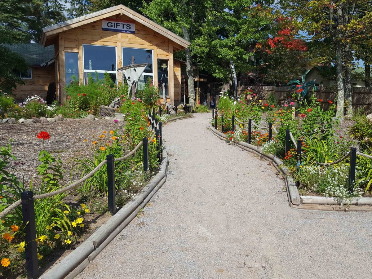 Phone 3-17-19 997 a garden in front of a house